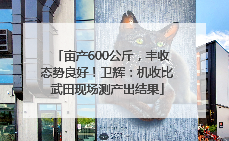 亩产600公斤，丰收态势良好！卫辉：机收比武田现场测产出结果