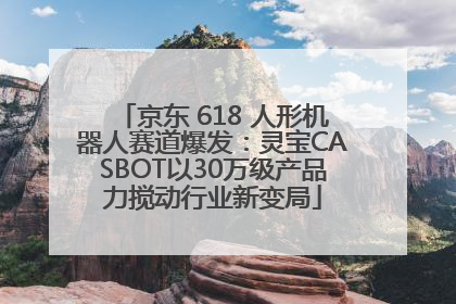 京东 618 人形机器人赛道爆发：灵宝CASBOT以30万级产品力搅动行业新变局