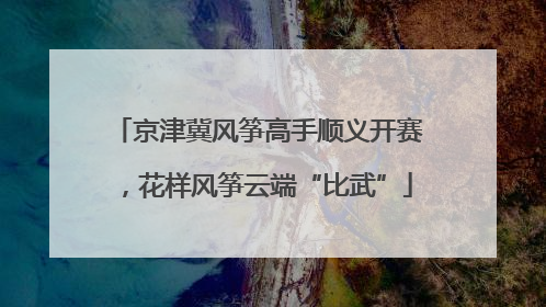 京津冀风筝高手顺义开赛，花样风筝云端“比武”