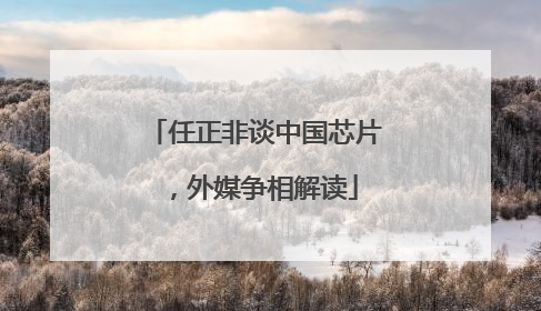任正非谈中国芯片，外媒争相解读