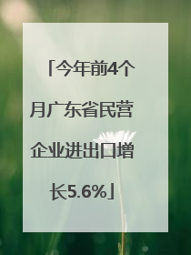 今年前4个月广东省民营企业进出口增长5.6%