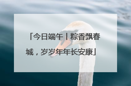 今日端午丨粽香飘春城，岁岁年年长安康