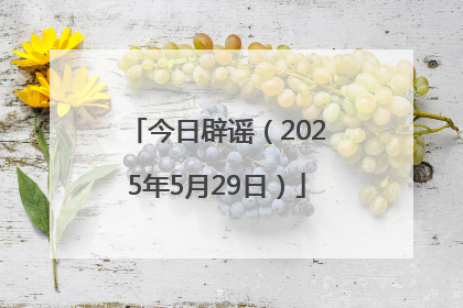 今日辟谣（2025年5月29日）