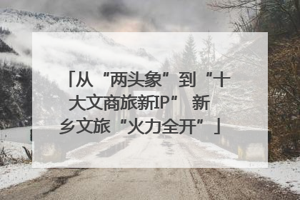 从“两头象”到“十大文商旅新IP” 新乡文旅“火力全开”