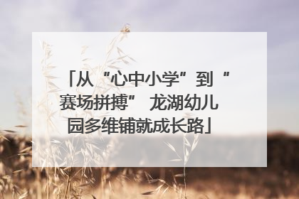 从“心中小学”到“赛场拼搏” 龙湖幼儿园多维铺就成长路