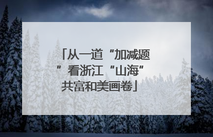 从一道“加减题”看浙江“山海”共富和美画卷