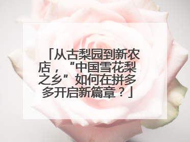从古梨园到新农店，“中国雪花梨之乡”如何在拼多多开启新篇章？