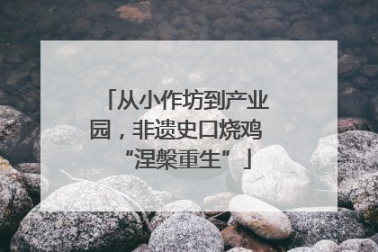 从小作坊到产业园，非遗史口烧鸡“涅槃重生”