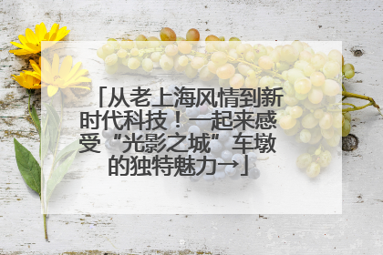 从老上海风情到新时代科技！一起来感受“光影之城”车墩的独特魅力→