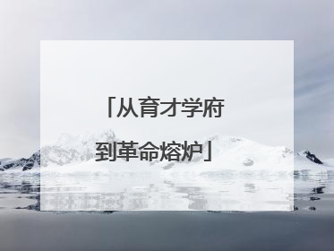 从育才学府到革命熔炉