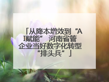 从降本增效到“AI赋能” 河南省管企业当好数字化转型“排头兵”