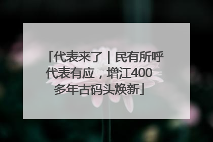 代表来了｜民有所呼代表有应，增江400多年古码头焕新