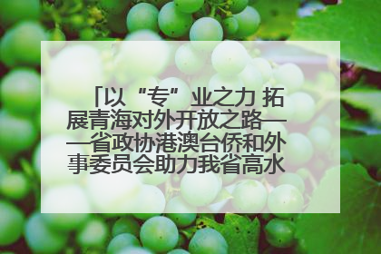 以“专”业之力 拓展青海对外开放之路——省政协港澳台侨和外事委员会助力我省高水平开放和高质量发展