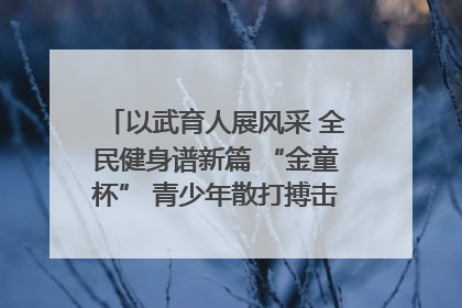 以武育人展风采 全民健身谱新篇 “金童杯” 青少年散打搏击邀请赛圆满落幕