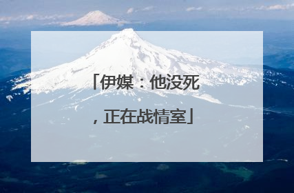 伊媒：他没死，正在战情室