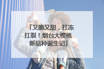 又脆又甜，扛冻扛裂！烟台大樱桃新品种诞生记