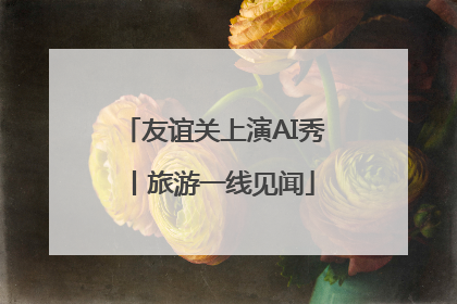 友谊关上演AI秀丨旅游一线见闻