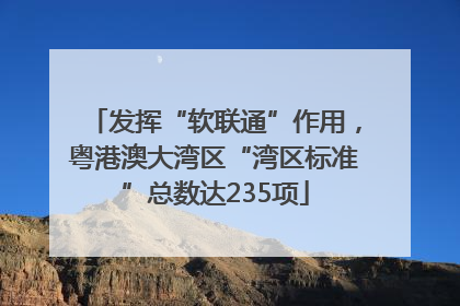 发挥“软联通”作用，粤港澳大湾区“湾区标准”总数达235项