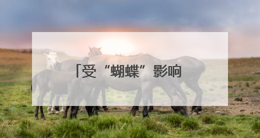 受“蝴蝶”影响 这些地方实施临时交通管制、停运