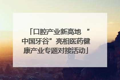 口腔产业新高地 “中国牙谷”亮相医药健康产业专题对接活动
