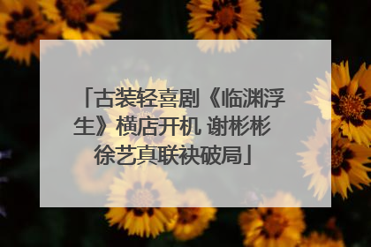 古装轻喜剧《临渊浮生》横店开机 谢彬彬徐艺真联袂破局