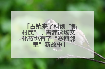 古镇来了科创“新村民”，青浦这场文化节也有了“赛博邻里”新故事