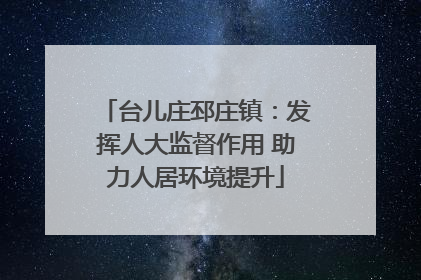 台儿庄邳庄镇：发挥人大监督作用 助力人居环境提升