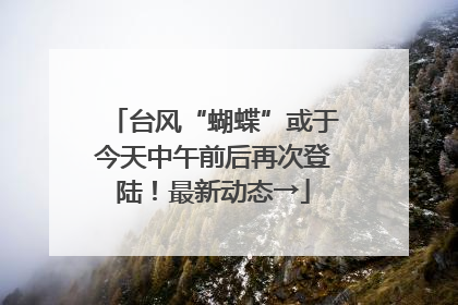 台风“蝴蝶”或于今天中午前后再次登陆！最新动态→