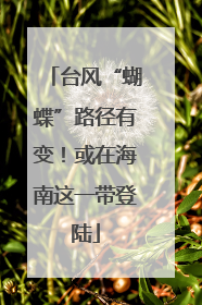 台风“蝴蝶”路径有变！或在海南这一带登陆