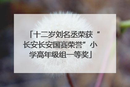 十二岁刘名丞荣获“长安长安国赛荣誉”小学高年级组一等奖