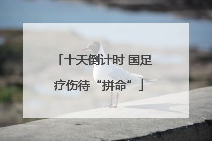 十天倒计时 国足疗伤待“拼命”