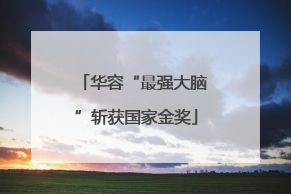 华容“最强大脑”斩获国家金奖