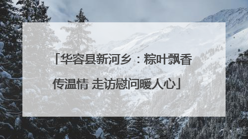 华容县新河乡：粽叶飘香传温情 走访慰问暖人心