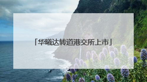 华曦达转道港交所上市