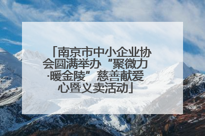 南京市中小企业协会圆满举办“聚微力·暖金陵”慈善献爱心暨义卖活动
