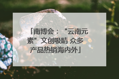 南博会：“云南元素”文创吸睛 众多产品热销海内外