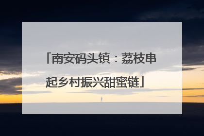 南安码头镇：荔枝串起乡村振兴甜蜜链