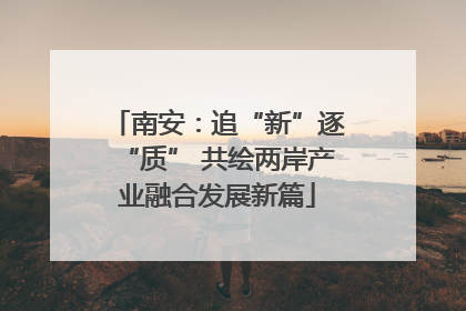 南安：追“新”逐“质” 共绘两岸产业融合发展新篇