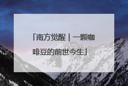南方觉醒｜一颗咖啡豆的前世今生