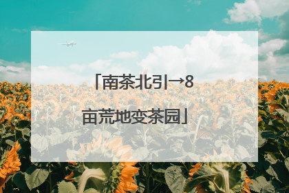 南茶北引→8亩荒地变茶园