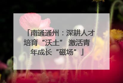 南通通州：深耕人才培育“沃土” 激活青年成长“磁场”