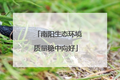 南阳生态环境质量稳中向好