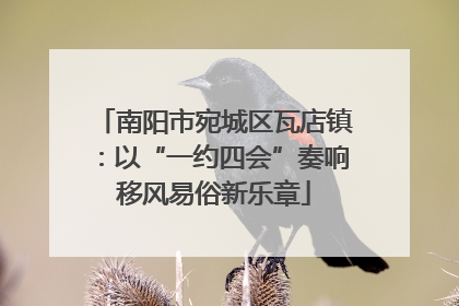 南阳市宛城区瓦店镇：以“一约四会”奏响移风易俗新乐章