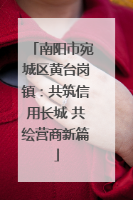 南阳市宛城区黄台岗镇：共筑信用长城 共绘营商新篇