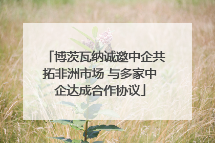 博茨瓦纳诚邀中企共拓非洲市场 与多家中企达成合作协议