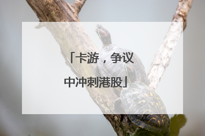 卡游，争议中冲刺港股