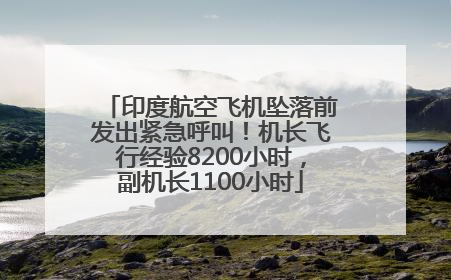 印度航空飞机坠落前发出紧急呼叫！机长飞行经验8200小时，副机长1100小时