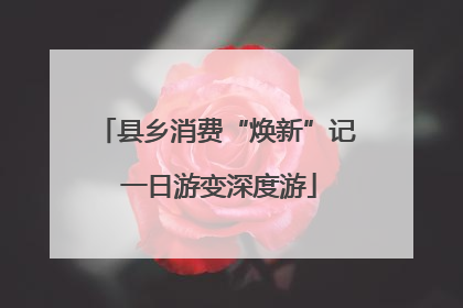 县乡消费“焕新”记 一日游变深度游