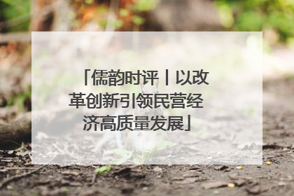 儒韵时评丨以改革创新引领民营经济高质量发展