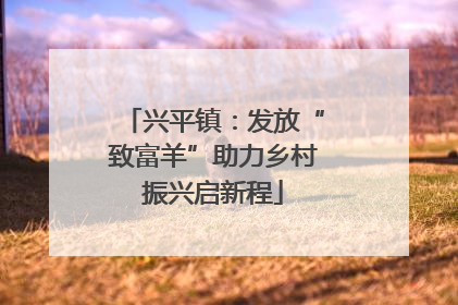 兴平镇：发放“致富羊”助力乡村振兴启新程